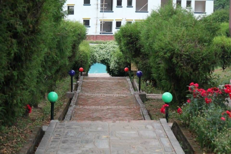 Gallery photo